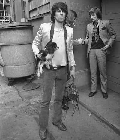 Mick Jagger com cachorro 