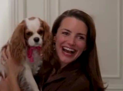 elizabeth taylor cachorro