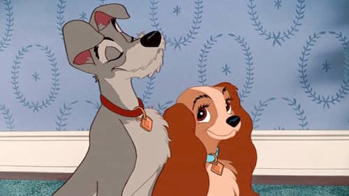 filme a senhora e o vagabundo 