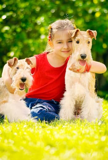 nomes para casal de cachorros 