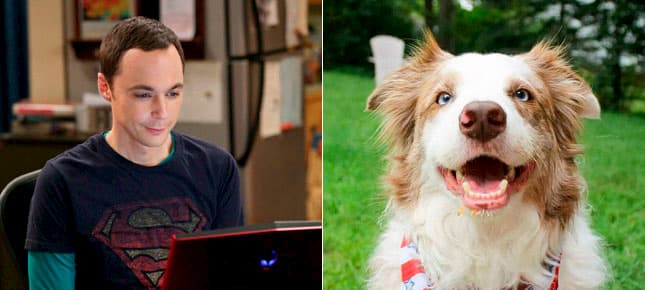 nomes de nerd para cães