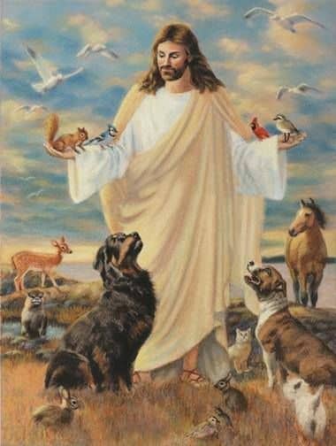 nomes bíblicos para cães