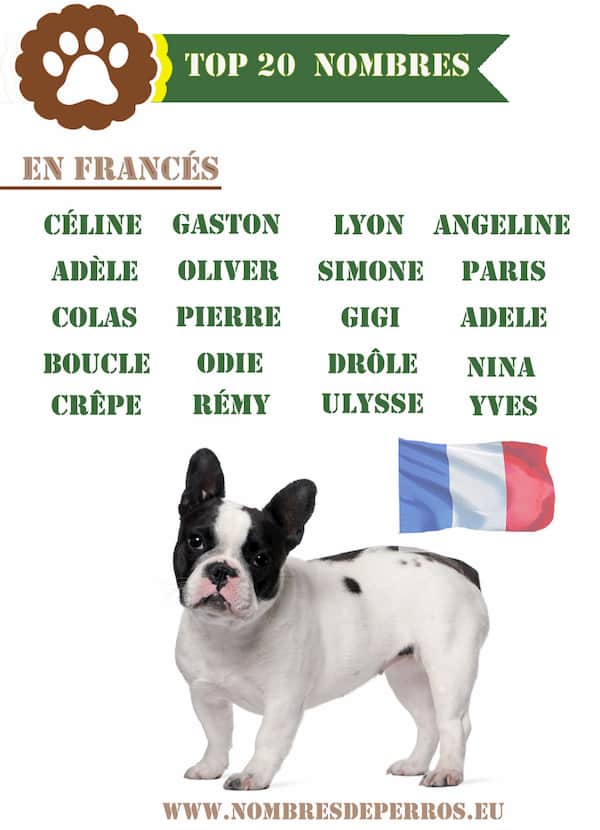 20 principais nomes franceses
